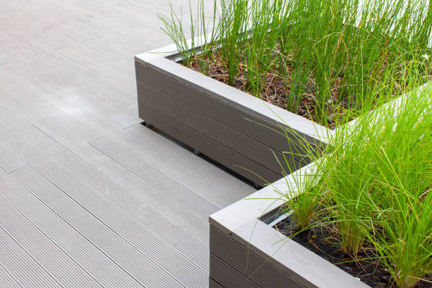 istock Outdoor planter with green planting 903547862