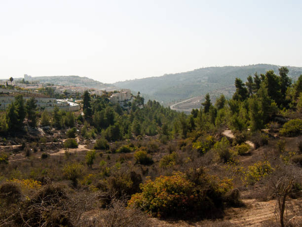 istock colors of Israel 903556280