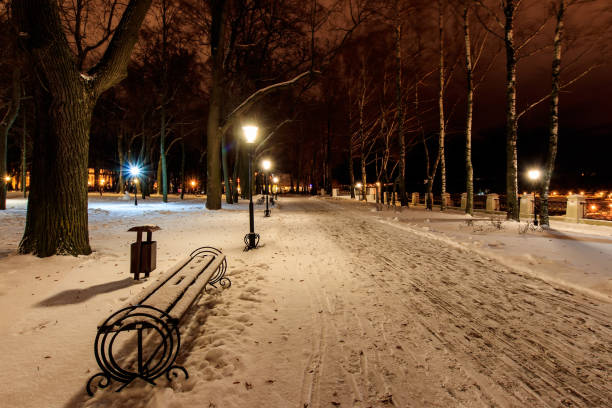 istock Night park in winter with fallen snow. 903557298