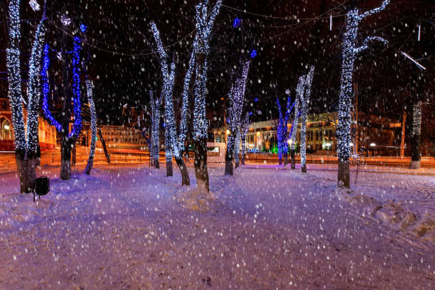 istock Night park in winter with falling snow. 903557344