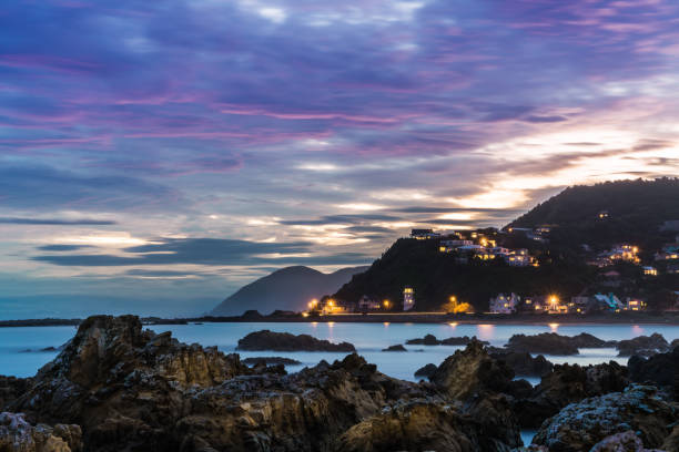 istock Island Bay in Wellington 903559602