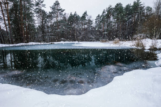 istock Pond covered with frost at pine forest. 903560704