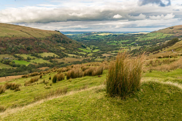 istock Landscape in the Brecon Beacons National Park, Wales, UK 903564714