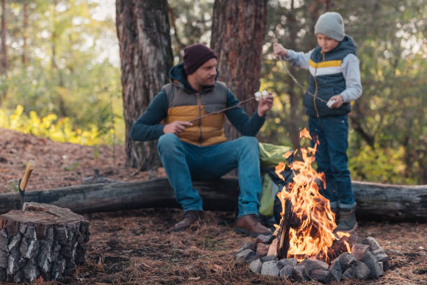 istock father and son cooking marshmallows in forest 903568774