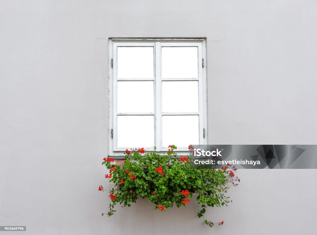 Bella vecchia cornice finestra con fioriera e parete grigio chiaro. Geranio o gru in vetrina. Modello di cornice della finestra rurale. Una finestra di legno chiusa isolata. - Foto stock royalty-free di Fioriera da davanzale