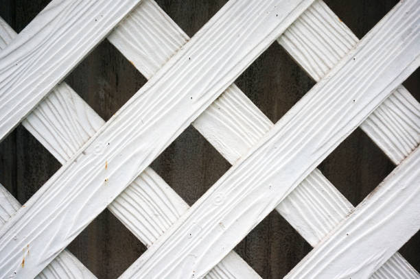 istock Closeup of lath wall Texture 903570004