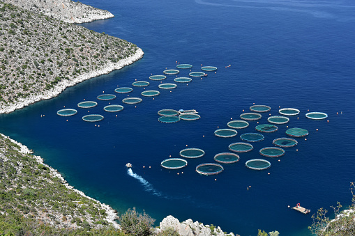 Bird’s-eye view of a fish farm in a blue bay surrounded by rocky mountain hills, Peloponnese, Greece