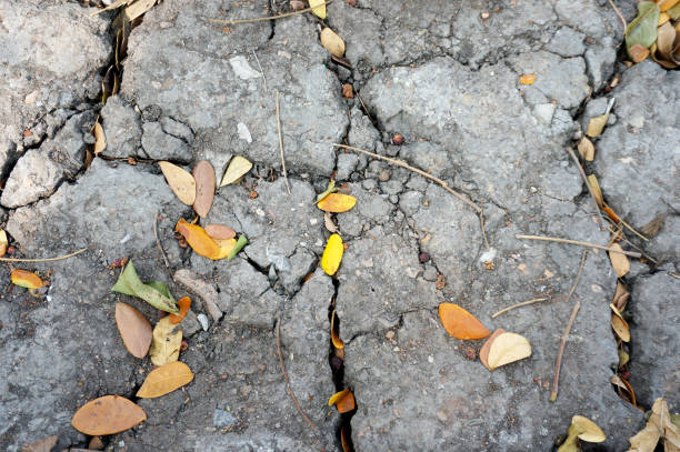 istock Closeup of soil texture and background 903577260