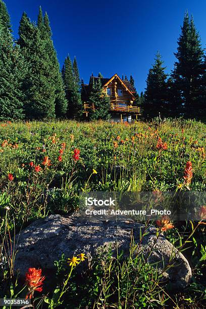 Mountain Home Und Wildblumen Luxus Stockfoto und mehr Bilder von Architektur - Architektur, Blume, Designer-Einrichtung