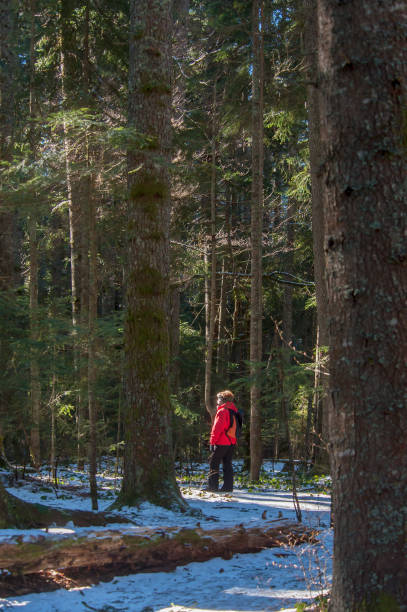 istock Woman walking in the mountains 903584316