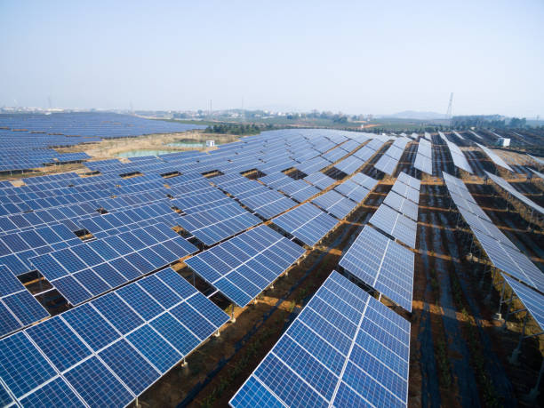istock solar panels in the field 903584480