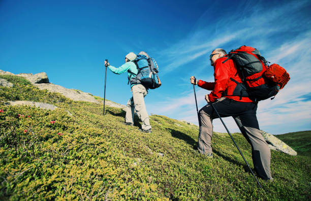 istock Summer hike in the mountains with a backpack and tent. 903584520