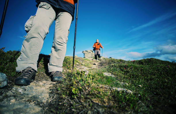 istock Summer hike in the mountains with a backpack and tent. 903584534