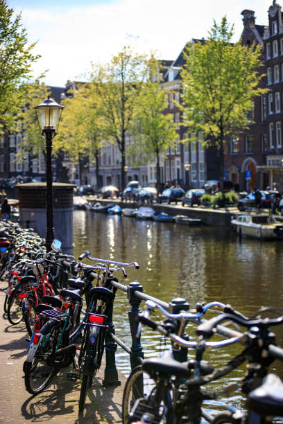 istock bikes na canalas of Amsterdam 903584584
