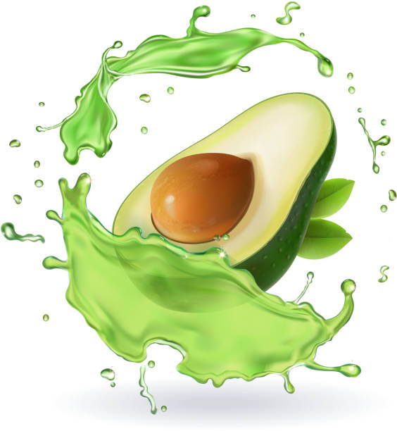 ilustrações de stock, clip art, desenhos animados e ícones de fresh avocado fruit juice splash realistic isolated vector - drink close up dairy product flowing