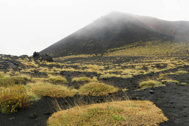 istock Mount Etna landscape with volcano crater. 903588616