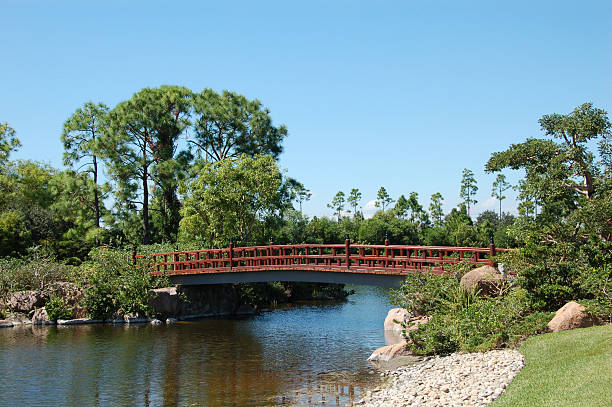 Stepping stones across a river