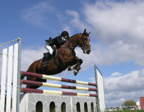 Horse jumping over an obstacle during a showjumping competition.
