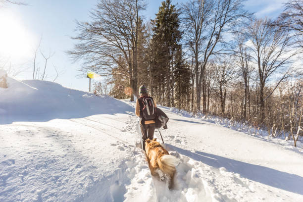 Trekking in snow-covered forest
