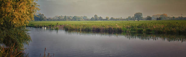 川大きい ouse - swan bird water fog ストックフォトと画像