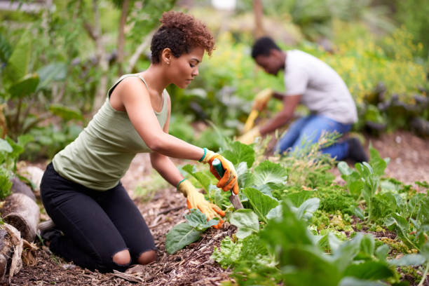 istock She's a pro when it comes to planting 903601236