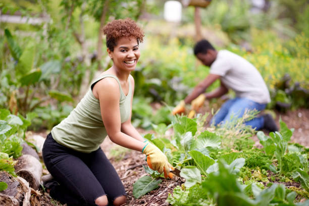 istock It's more than just planting seeds 903601240