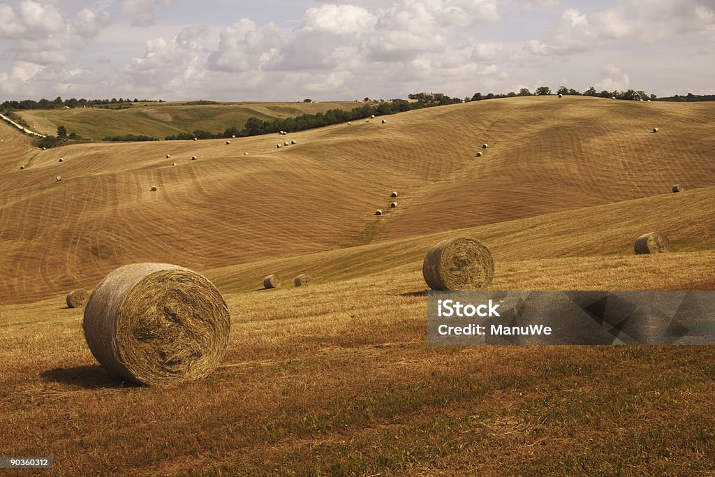 Холмах Haybales в Тоскане - Стоковые фото Бежевый роялти-фри