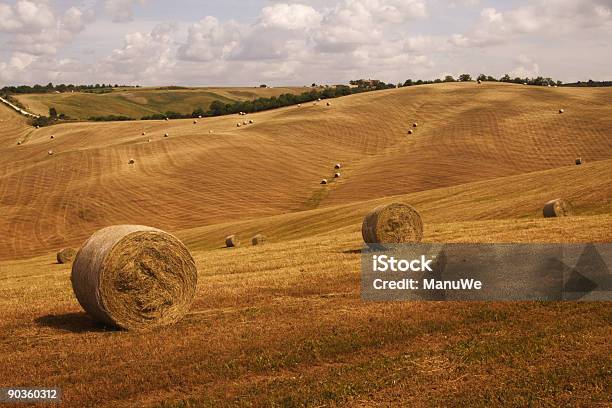 Холмах Haybales В Тоскане — стоковые фотографии и другие картинки Бежевый - Бежевый, Без людей, Валь д'Орча