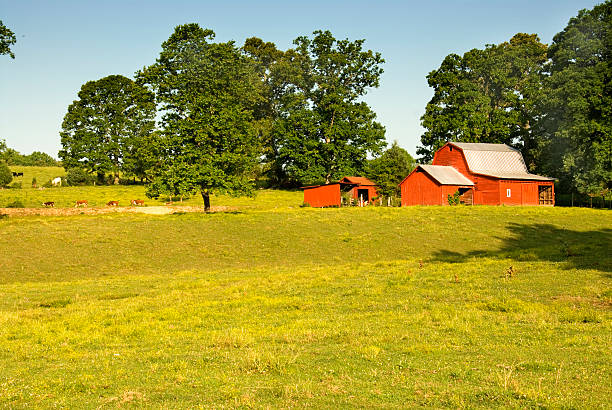 istock Farm in Tennessee 90360317