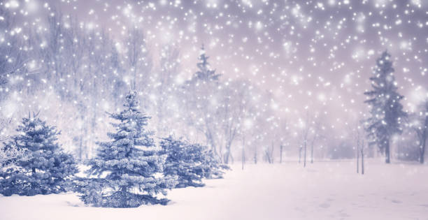 istock Christmas background with fir trees 903604294