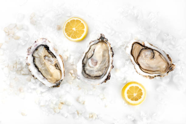 Overhead photo of three oysters with lemons and copy space