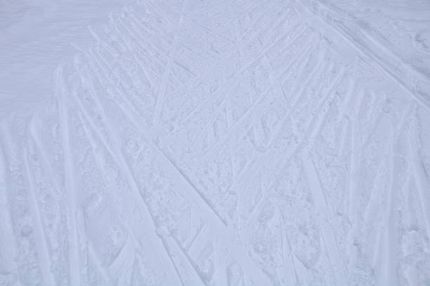 istock Footprints from skis on white snow in the winter forest 903608974