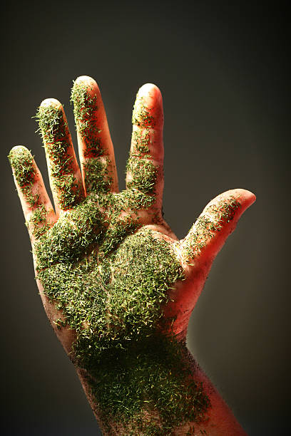 Open hand with green substance, close-up stock photo