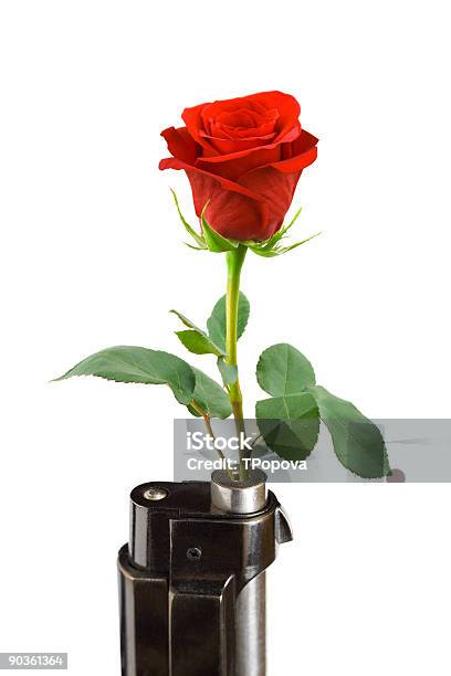 Flower And Gun Stock Photo - Download Image Now - Flower, Rifle, Gun