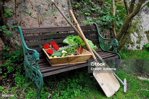 Harvest Stock Photo - Download Image Now - September, Vegetable Garden, Autumn