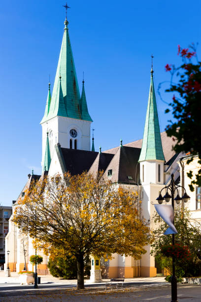 Cathedral of Kaposvar, Hungary