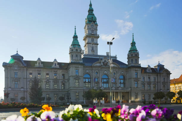 istock Gyor City Hall, Hungary 903618358