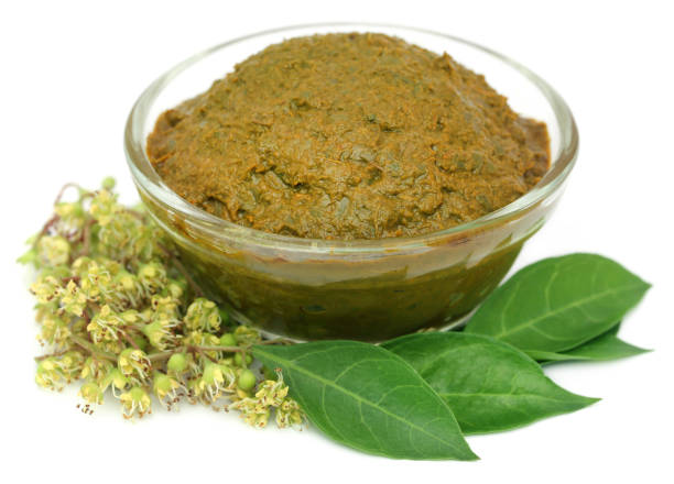 istock Ayurvedic henna leaves 903628934