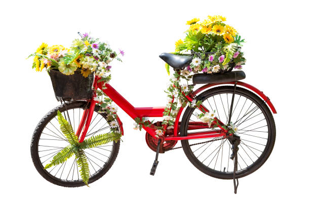 fleur sur vélo - bicycle ornamental garden flower formal garden photos et images de collection