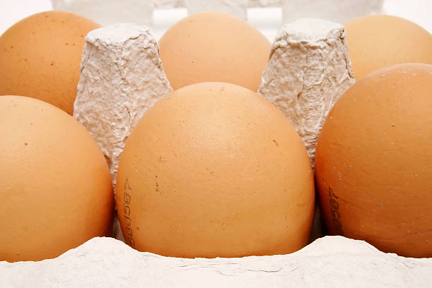 sechs brown eggs in a box - cholesterol ellipse shell box stock-fotos und bilder