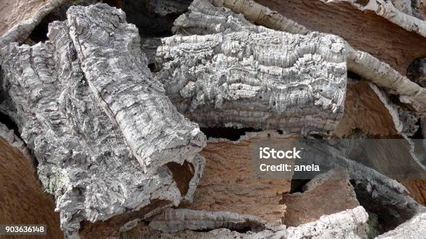Cork Oakbarknatural Raw Material Ready To Transportation And Further Processing Portugal Alentejo Stock Photo - Download Image Now