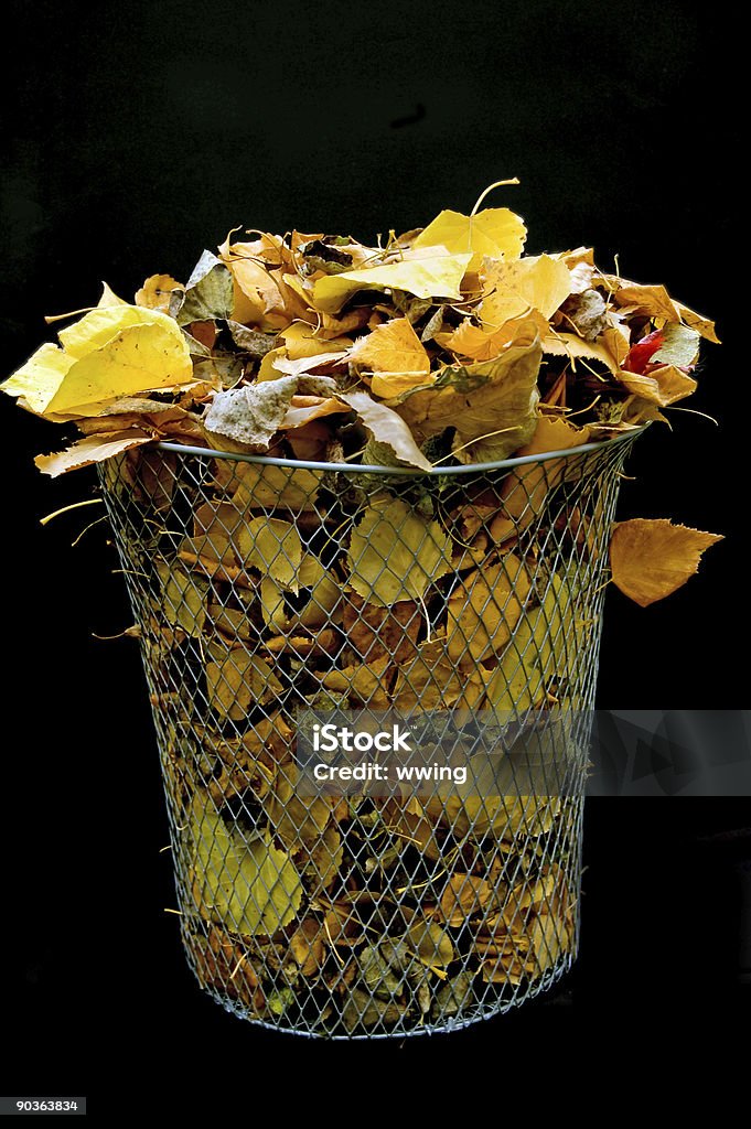 Korb mit Herbstlaub - Lizenzfrei Baum Stock-Foto