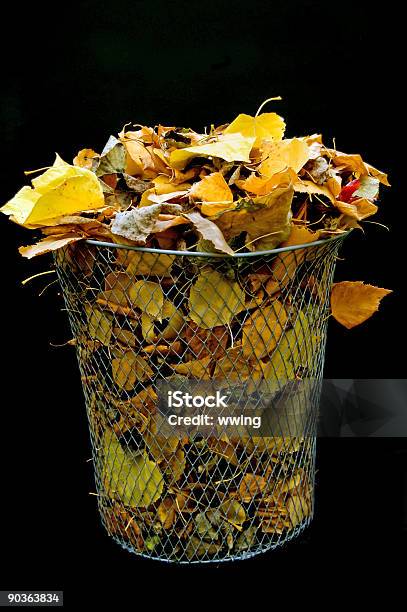 Korb Mit Herbstlaub Stockfoto und mehr Bilder von Baum - Baum, Behälter, Blatt - Pflanzenbestandteile