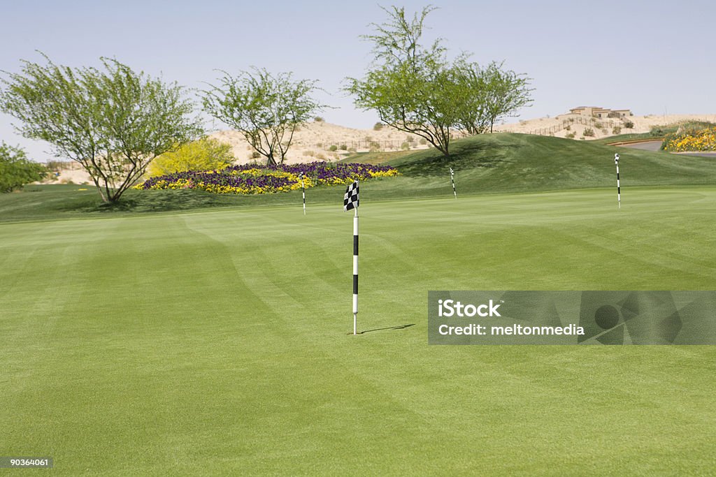 Pole golfowe Putting Green - Zbiór zdjęć royalty-free (Bez ludzi)