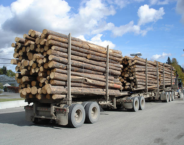 istock Mighty big load of logs 90364494