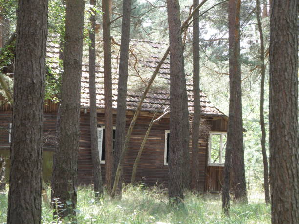 istock The abandoned Russian military camp Vogelsang outside Berlin 903645206