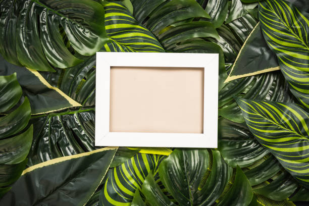 istock White photo frame over palm leaves, design mock up 903648948
