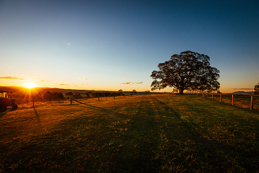 Australia is beautiful in all of its nature and rural areas. Landscape in Australian summer during the sunset is golden part of the day. Bioeconomy and bio-industry are the future for farming and sustainable communities.