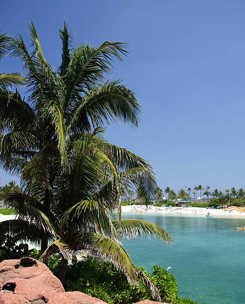 Laguna tropicale - foto stock