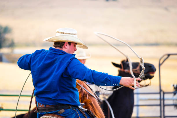 istock Branding Day at A Utah Ranch 903653990